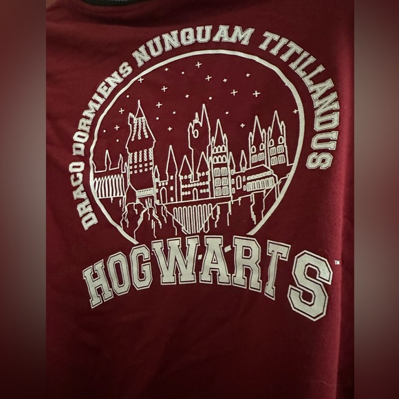 HARRY POTTER HOGWARTS LETTERMANS HOODIE - Picture 3 of 4